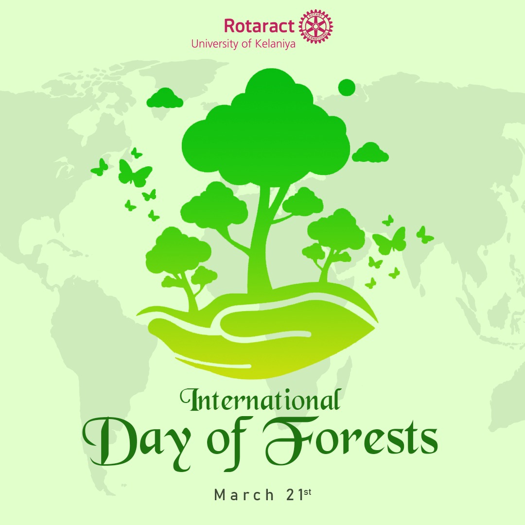 You are currently viewing International Day of Forests