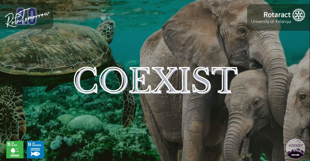 Read more about the article Project ‘COEXIST’