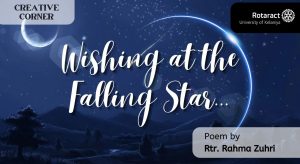 Read more about the article Wishing at the Falling Star