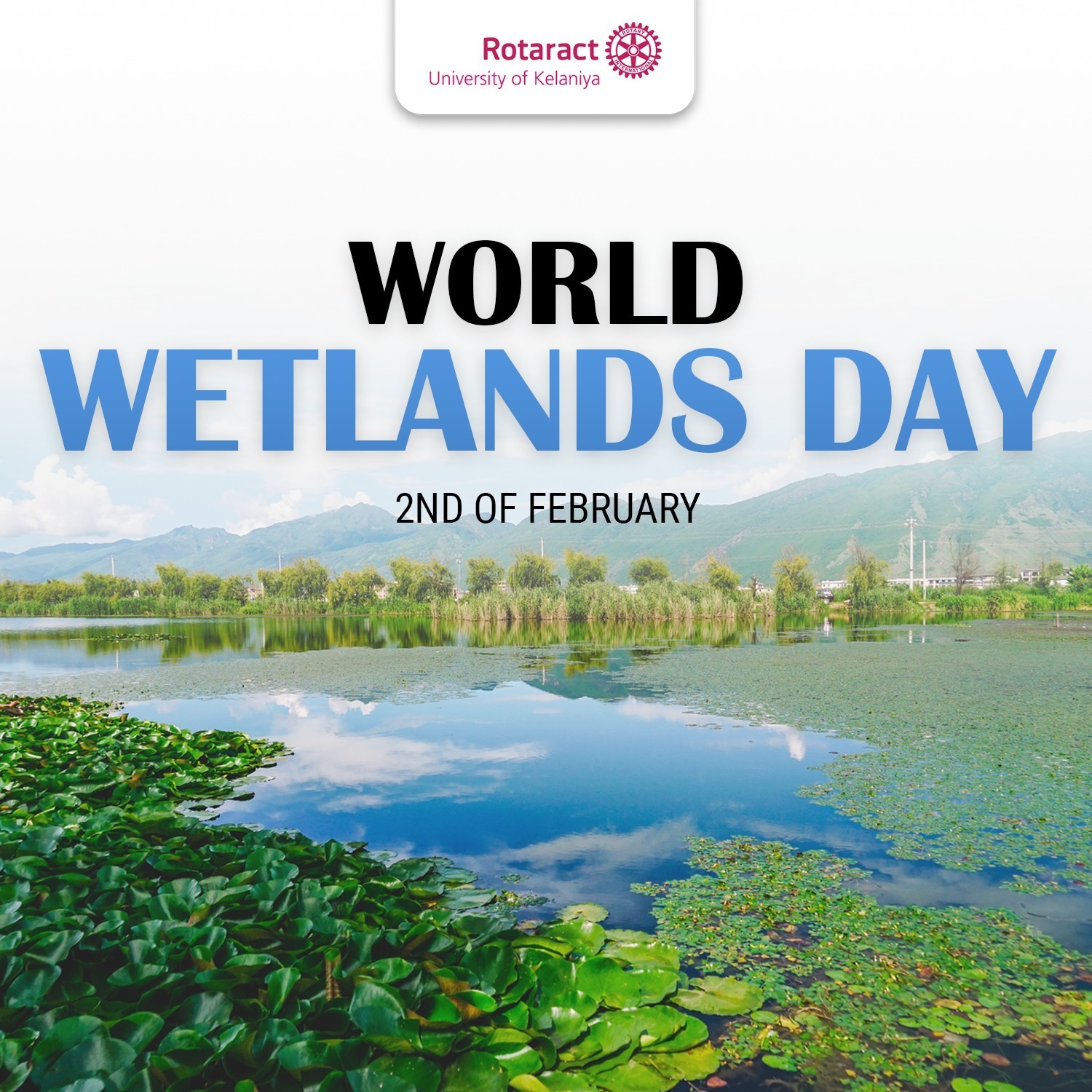 You are currently viewing World Wetlands Day