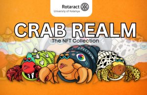 Read more about the article Crab Realm