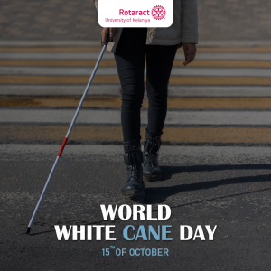 Read more about the article World White Cane Day