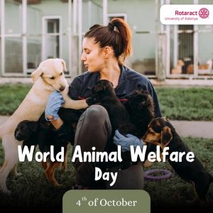 Read more about the article World Animal Welfare Day