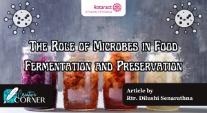 Read more about the article The role of microbes in food fermentation and preservation