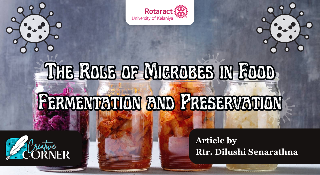 You are currently viewing The role of microbes in food fermentation and preservation