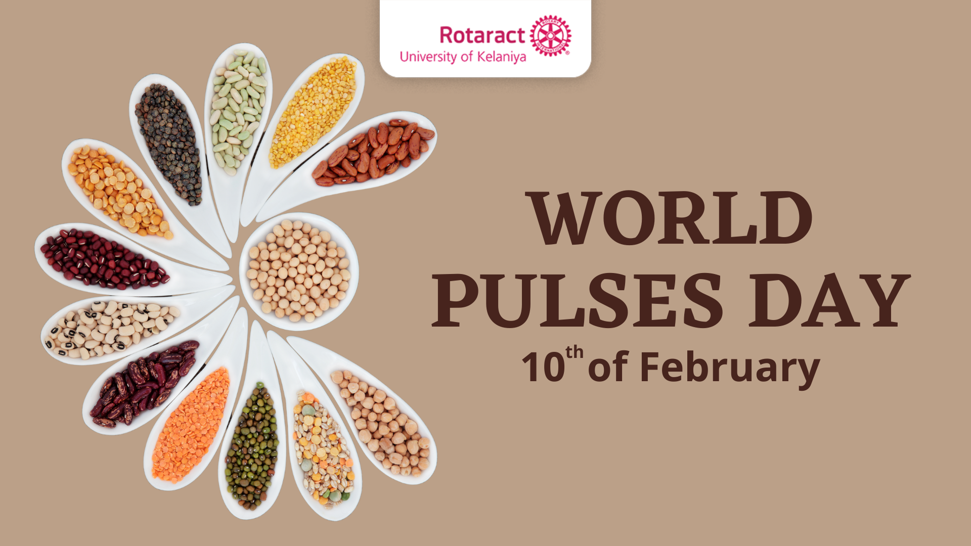You are currently viewing World Pulses Day