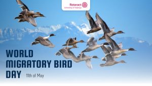 Read more about the article World Migratory Bird Day