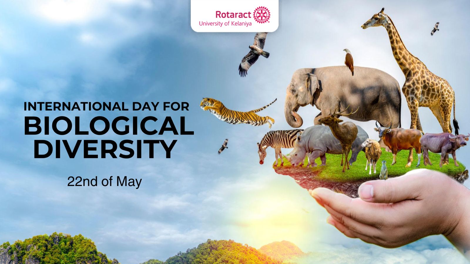 You are currently viewing Celebrating Life on Earth: International Day for Biological Diversity