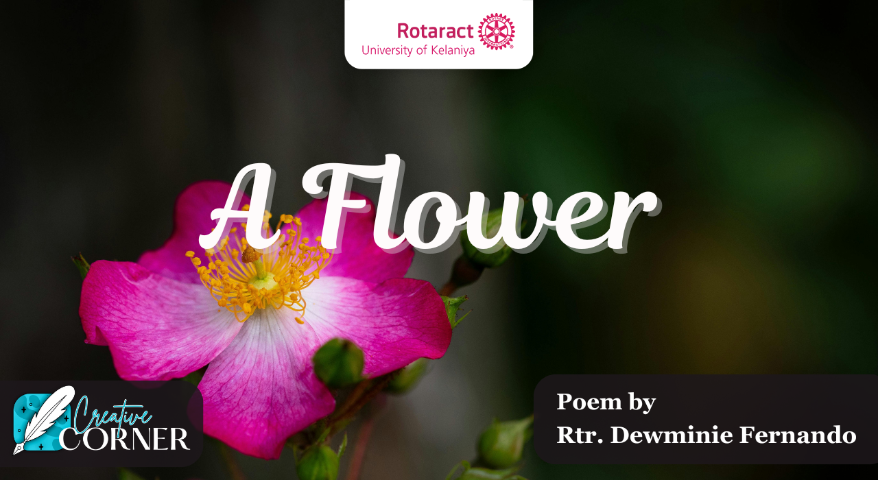 Read more about the article A Flower