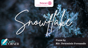 Read more about the article Snowflake