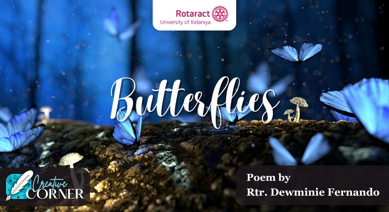 Read more about the article Butterflies