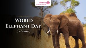 Read more about the article Celebrating Giants of the Wild!