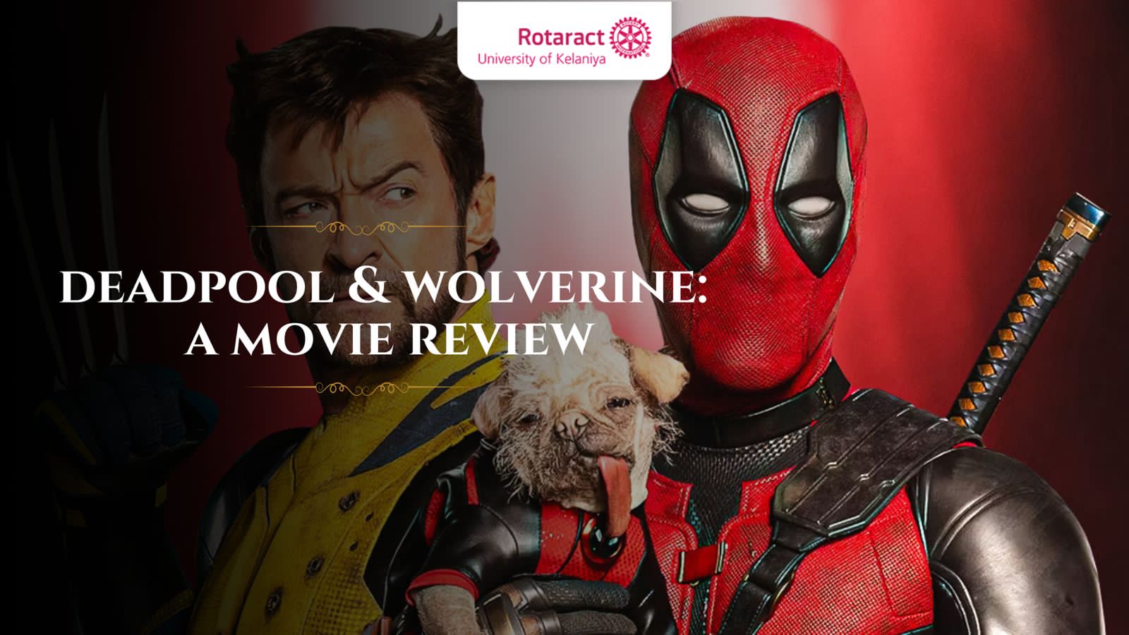 You are currently viewing When the Claws Meet the Quips