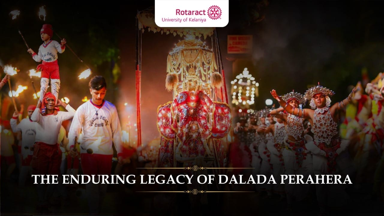 Read more about the article Sri Lanka’s Cultural Heartbeat; The Timeless Beauty of Dalada Perahera