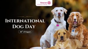 Read more about the article Celebrating Our Furry Friends on International Dog Day!
