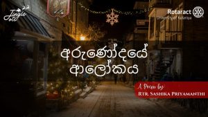 Read more about the article අරුණෝදයේ ආලෝකය