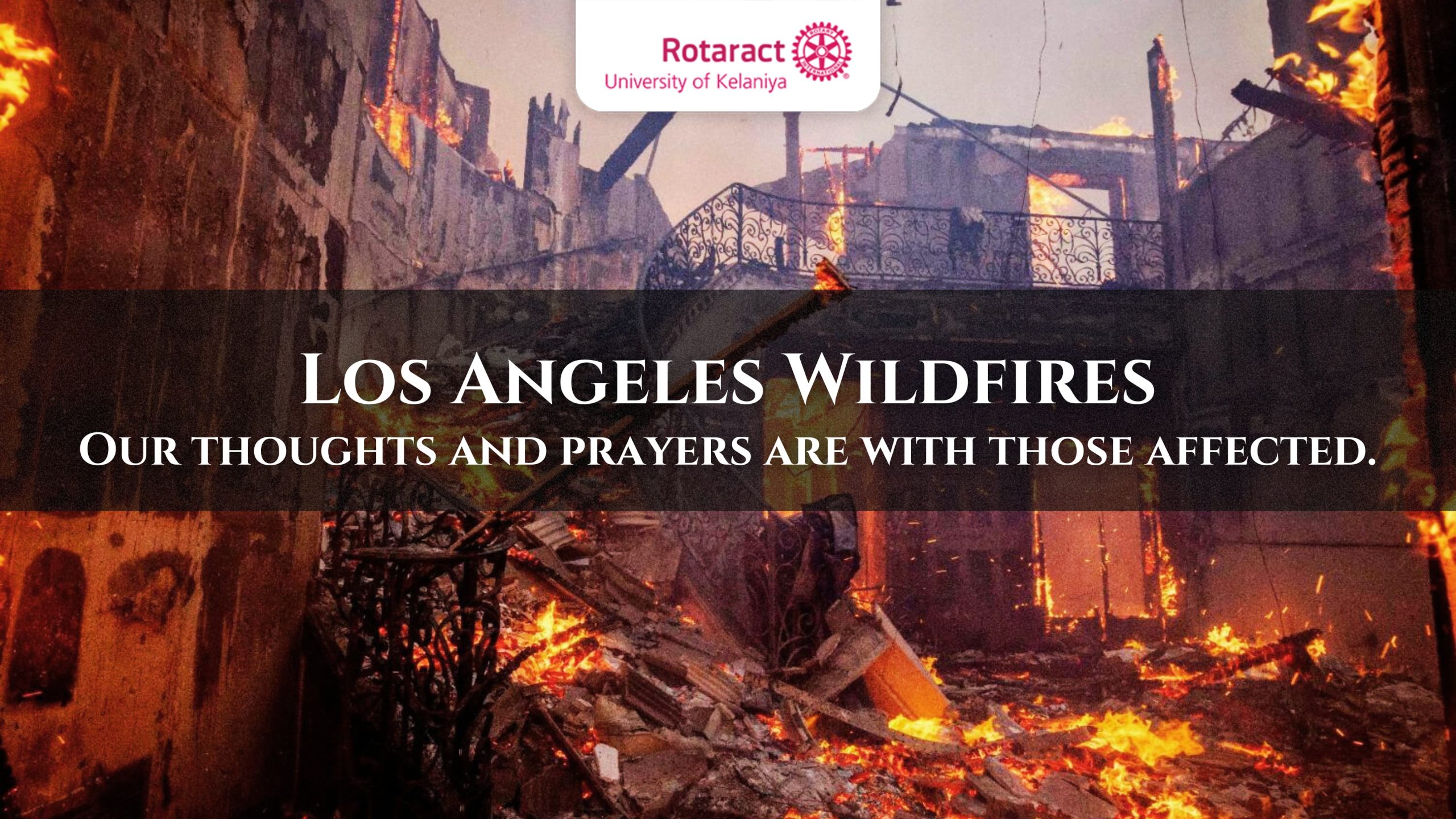 Read more about the article Los Angeles Wildfires