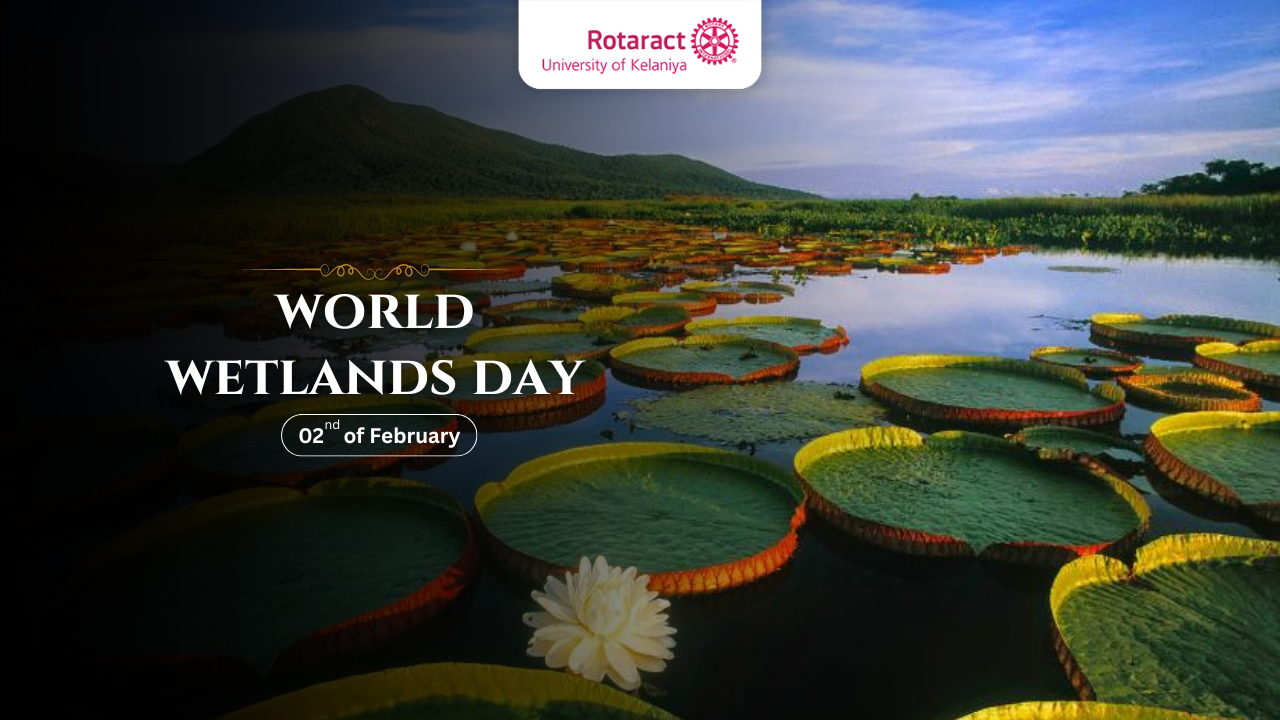 Read more about the article Celebrating World Wetlands Day: Why These Unique Ecosystems Matter