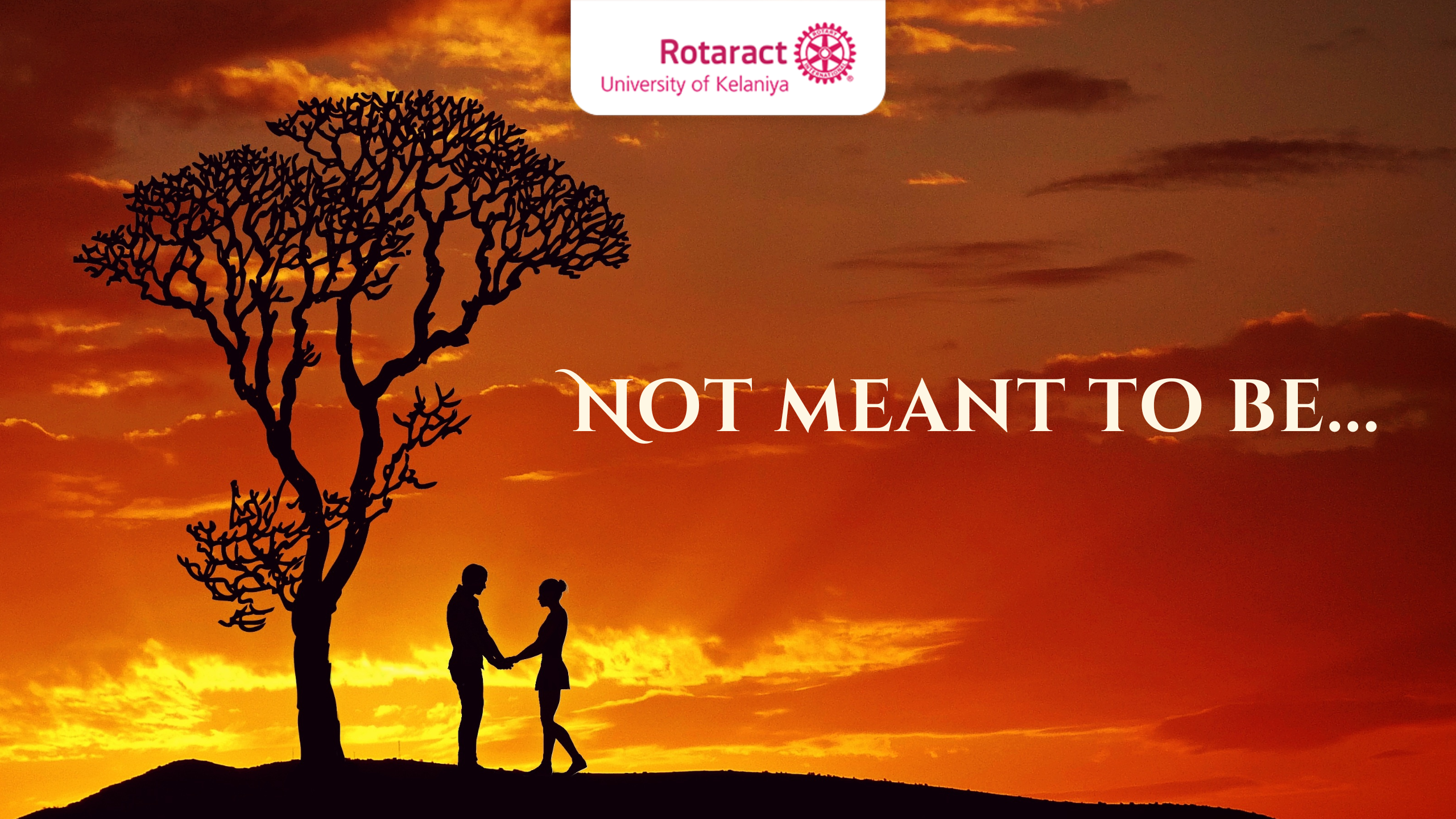 You are currently viewing Not Meant to Be