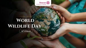Read more about the article World Wildlife Day: A Vital Reminder