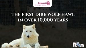 Read more about the article Dire Wolves Return: A Leap Toward De-Extinction