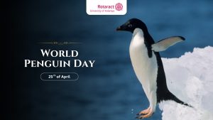 Read more about the article World Penguin Day