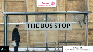 Read more about the article The Bus Stop