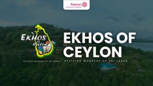 Read more about the article EKHOS of Ceylon