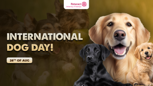 Read more about the article International Dog Day