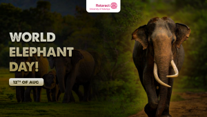 Read more about the article World Elephant Day