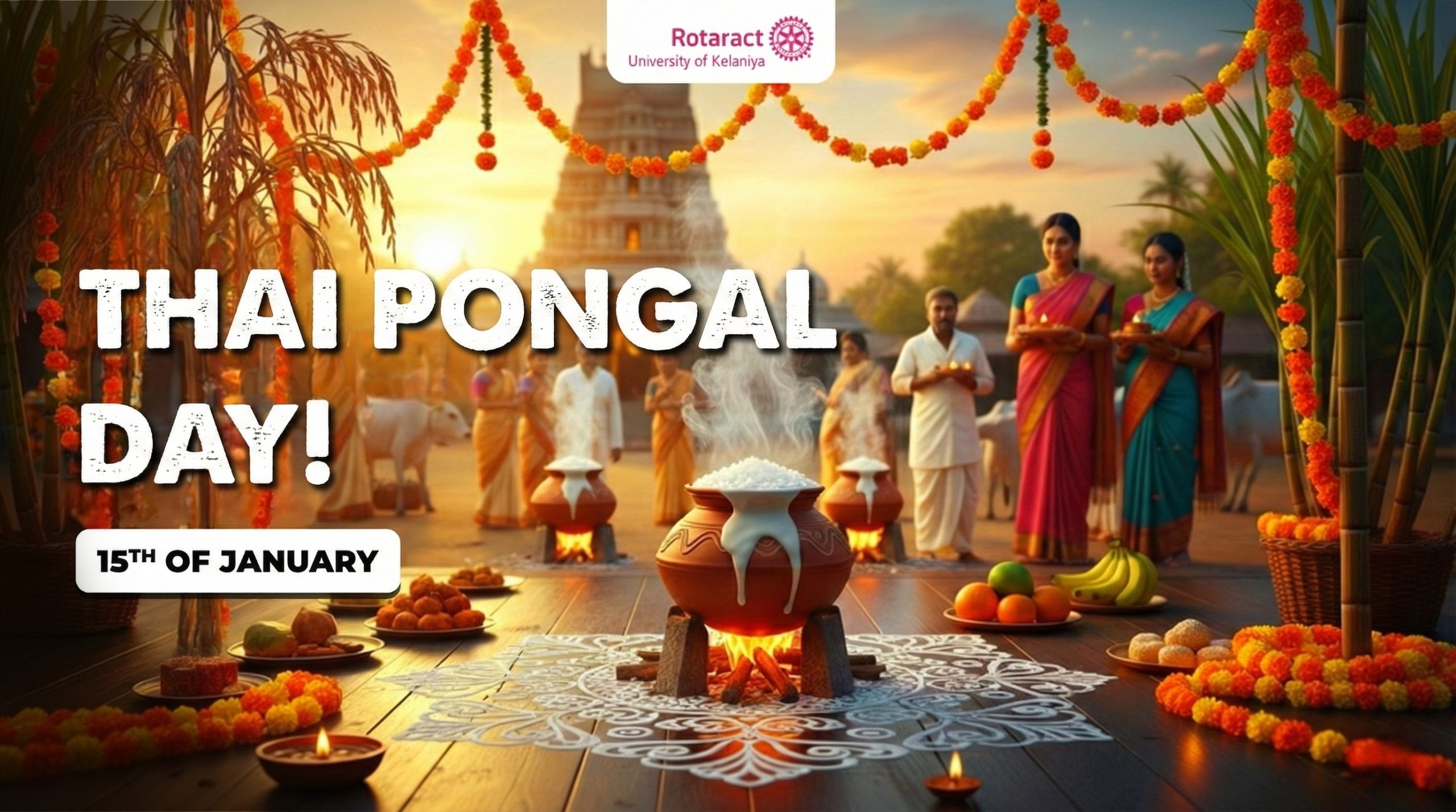 You are currently viewing Thai Pongal: Celebrating Gratitude, Harvest and New Beginnings