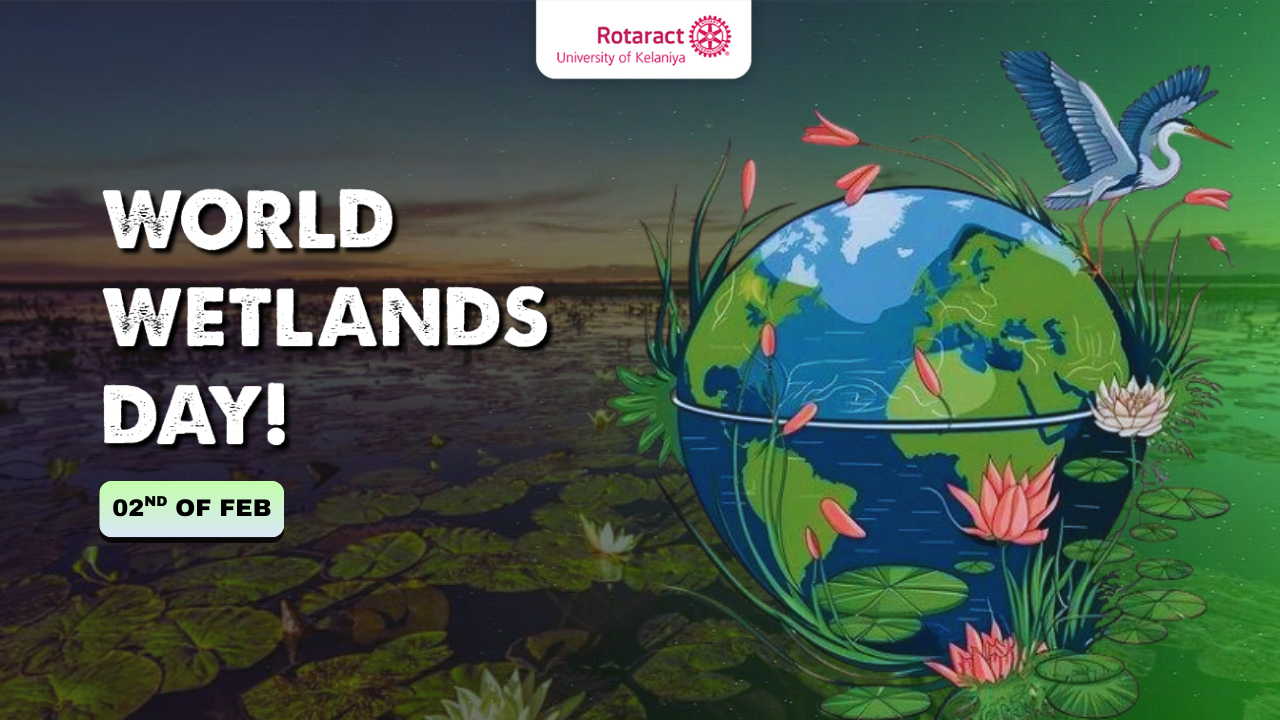 Read more about the article World Wetlands Day: Where Water Remembers Life