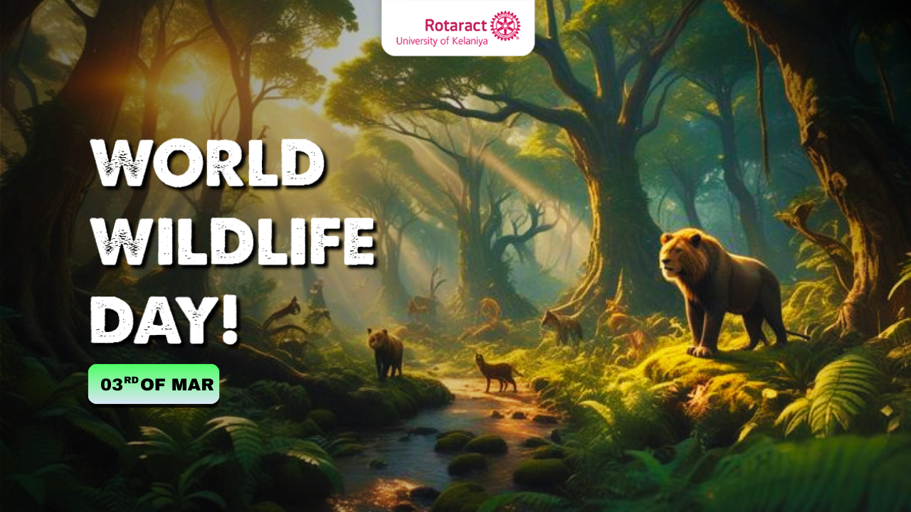 Read more about the article When the Wild Speaks in Silence: A Reflection on World Wildlife Day