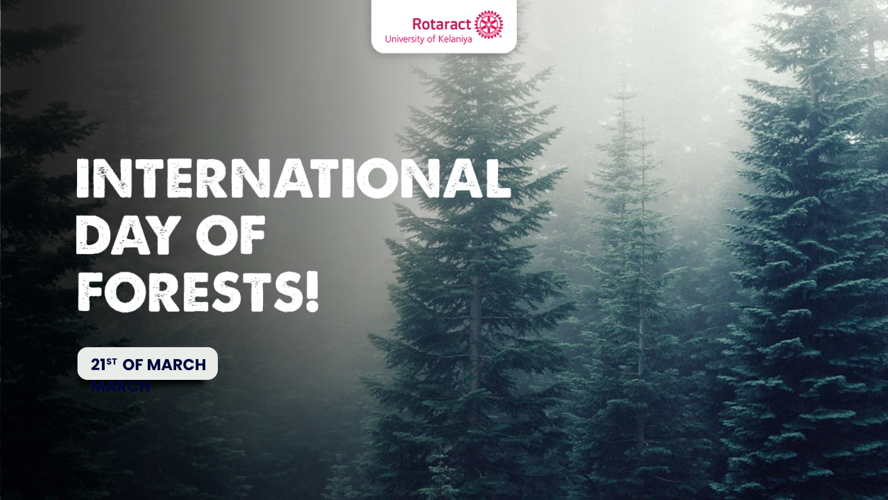 Read more about the article A forest doesn’t begin with trees, it begins with a quiet promise.