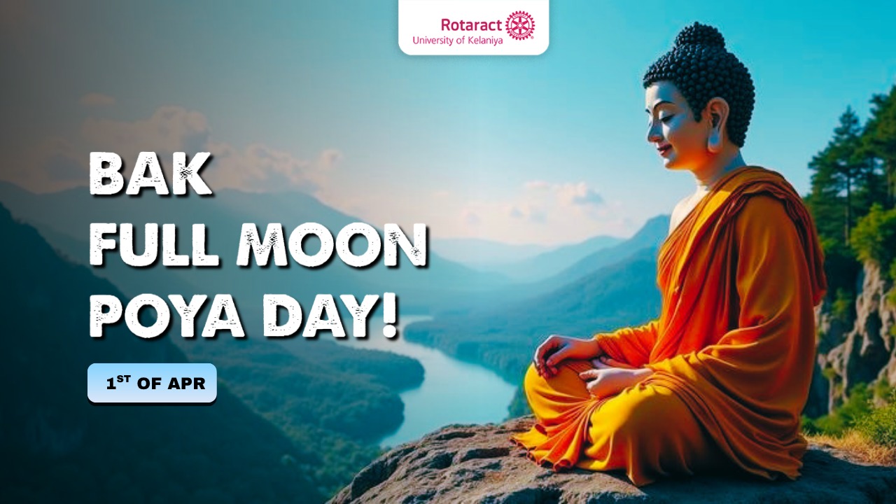 WhatsApp Image 2026-03-31 at 23.21