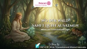 Read more about the article Wo der Wald sanft Licht ausatmen