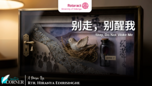 Read more about the article 别走, 别醒我