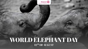 Read more about the article Gentle Giants : Honoring the Silent Guardians of the Wild