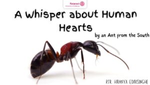 Read more about the article A Whisper about Human Hearts by an Ant from the South