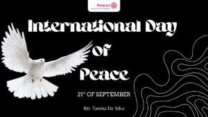 Read more about the article The International Day of Peace: Every Small Step Counts